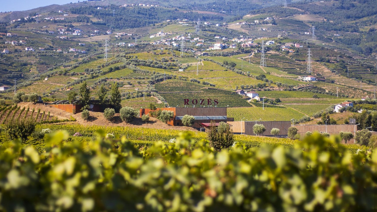 Explore Portugal’s 2026 Wine Harvest with the Best eSIM