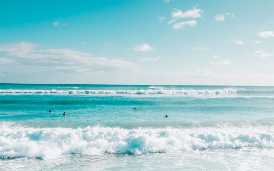 Best eSIM for Hawaii’s Surf Events 2026